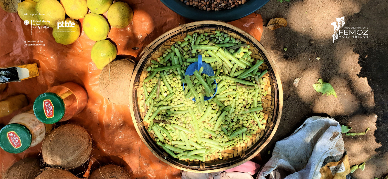 Field research on food convenience and desirability in the target regions