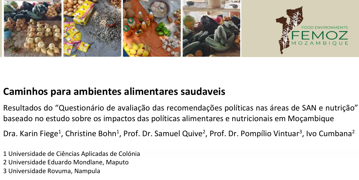 Results of the ‘Questionnaire to evaluate policy recommendations in the areas of FNS and nutrition’