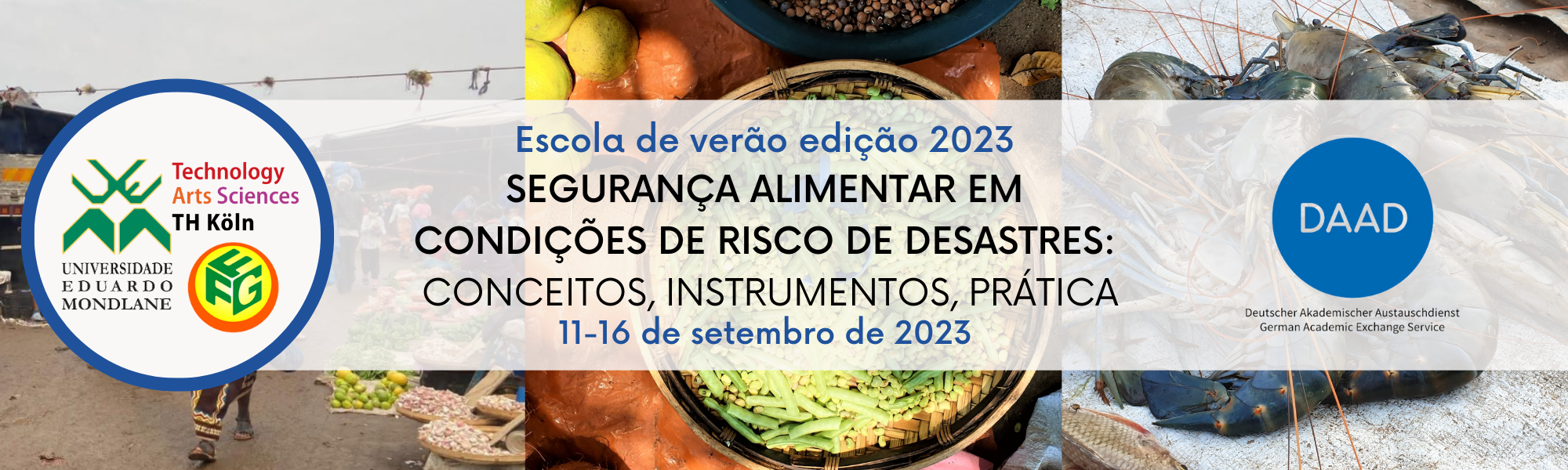 DAAD Summer School 2023