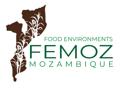 Capacity development in the FEMOZ project