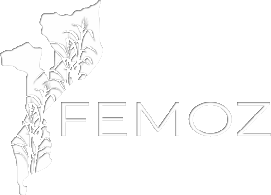 FEMOZ Logo