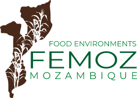 FEMOZ Logo
